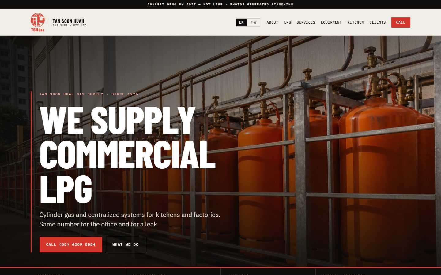 TSH Gas sample homepage